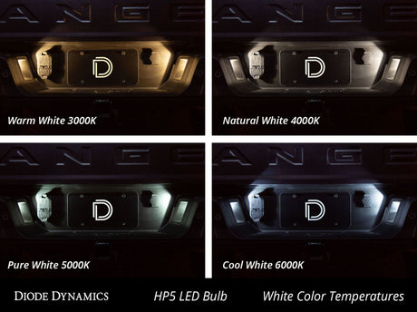 Ampoule LED Diode Dynamics 194 HP5 LED - Froid - Blanc Court (Simple)