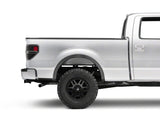 Raxiom 09-14 Ford F-150 Styleside LED Tail Lights- Blk Housing (Clear Lens)