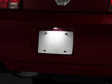 Raxiom 05-09 Ford Mustang Axial Series LED License Plate Lamps