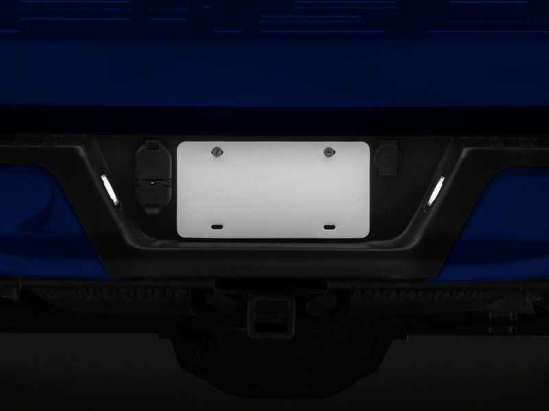 Lampes de plaque d'immatriculation à LED Raxiom 15-23 Ford F-150 Axial Series