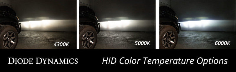 Ampoule HID Diode Dynamics D5A 6000K (paire)