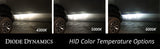 Ampoule HID Diode Dynamics D5A 6000K (paire)