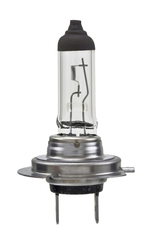 Hella Bulb H7 12V 55W PX26d T4.6 LONGLIFE