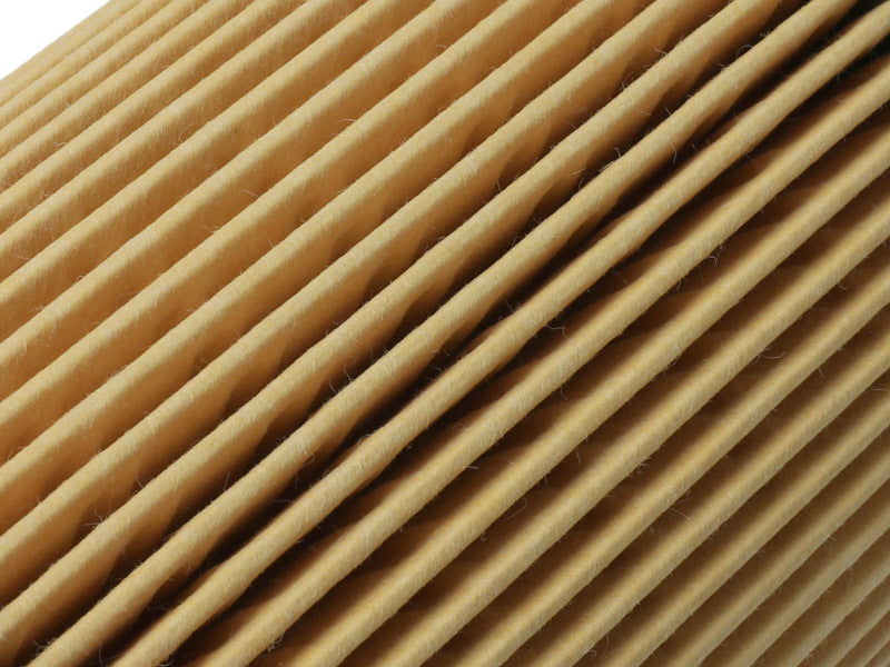 Filtre à huile aFe Pro GUARD D2 96-06 pour voitures à essence BMW L6 (lot de 4)