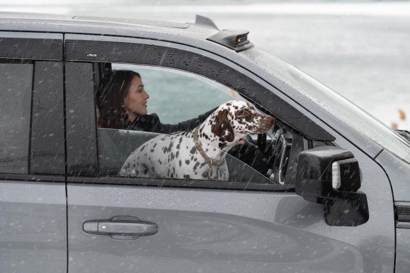 Pare-vent à profil bas AVS 2019 pour camionnette Chevrolet Silverado 1500 Crew Cab 4 pièces - Fumé