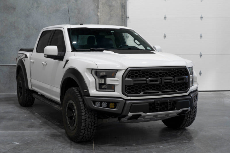 Kit de feux antibrouillard à LED Diode Dynamics 17-20 Ford Raptor SS3 - Blanc Sport