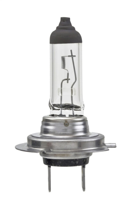 Ampoule haute puissance Hella H7 12V 100W PX26d T4.6 (paire)