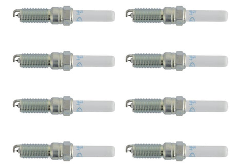 Ford Racing 21-25 F-150 5.0L Coyote (w/Variable Displacement) Cold Spark Plug Set