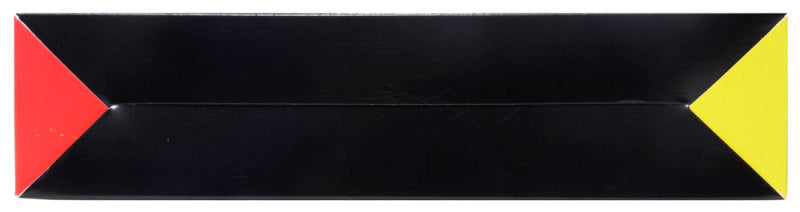 Filtre à air à flux sec AEM pour Ford Mustang 2,3 L/3,7 L/5,0 L 2015