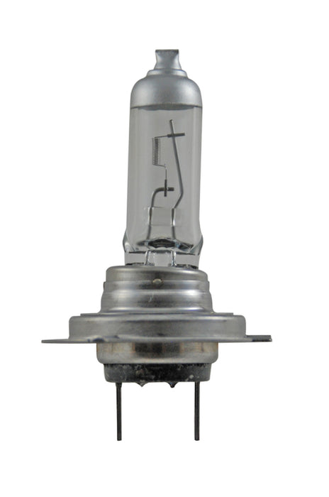 Ampoule Hella H7 12V 55W Px26D T4625 +50