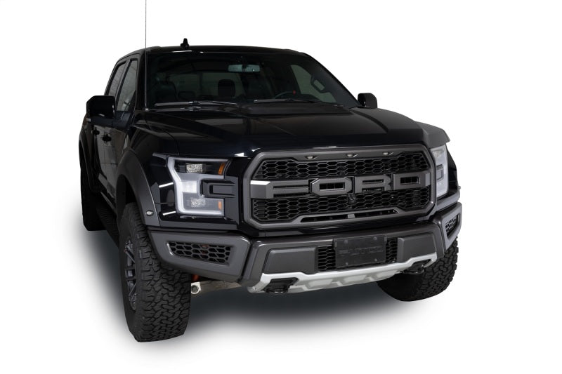 Inserts de calandre de pare-chocs avec revêtement en poudre noire Putco 18-20 Ford F-150 Raptor - Hex Shield