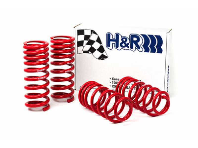 Ressorts de course H&amp;R pour Ford Mustang/Mustang Cobra V8 94-95