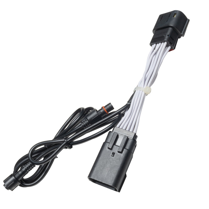 Adaptateur de câblage Oracle Plug &amp; Play pour feux de recul Jeep Gladiator JT VOIR LA GARANTIE