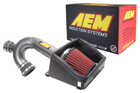 Prise d'air froid gris métallisé AEM 17-18 Ford F-150 3,5 L V6 F/I