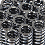 Ensemble de ressorts de soupape Skunk2 Alpha Series Honda D Series VTEC