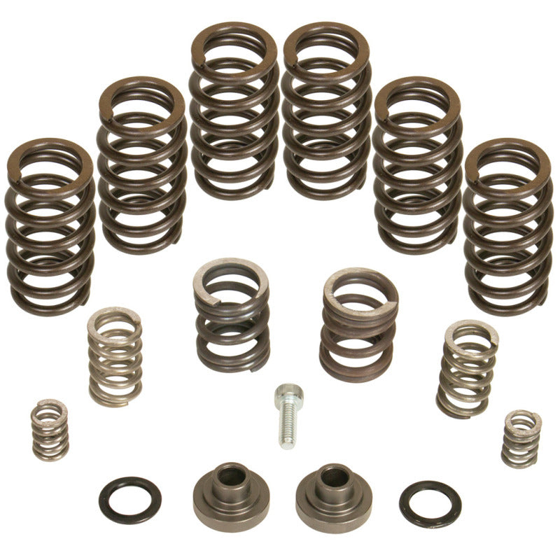 Kit de ressorts de régulateur diesel BD 4000 tr/min - 1994-1998 Dodge 12 soupapes/pompe P7100