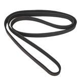 Courroie serpentine Omix 2.4L 02-06 Liberty et Wrangler