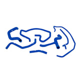 Kit de durites en silicone bleu Mishimoto pour Ford Focus SVT 02-04