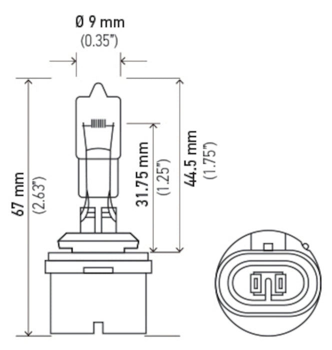 Ampoule Hella 885 12V 50W PG13 T3.25