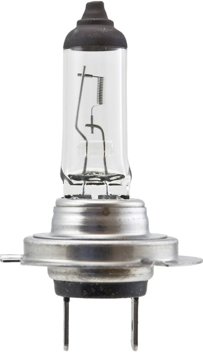 Ampoule haute puissance Hella H7 12V 100W PX26d T4.6