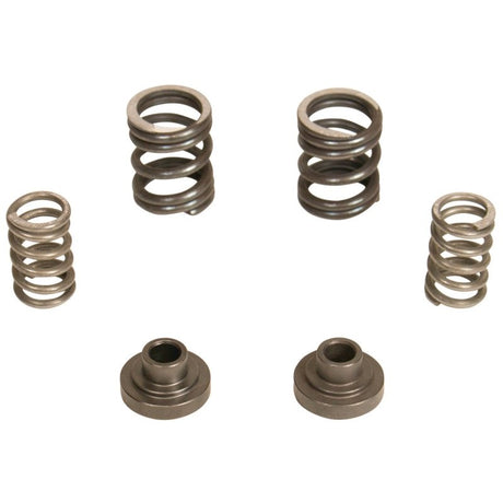 Kit de ressorts de régulateur diesel BD 3000 tr/min - 1994-1998 Dodge 12 soupapes/pompe P7100
