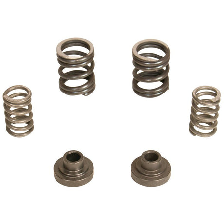 Kit de ressorts de régulateur diesel BD 3000 tr/min - 1994-1998 Dodge 12 soupapes/pompe P7100