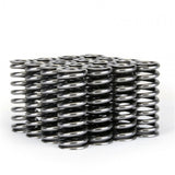 Ensemble de ressorts de soupape Skunk2 Alpha Series Honda D Series VTEC