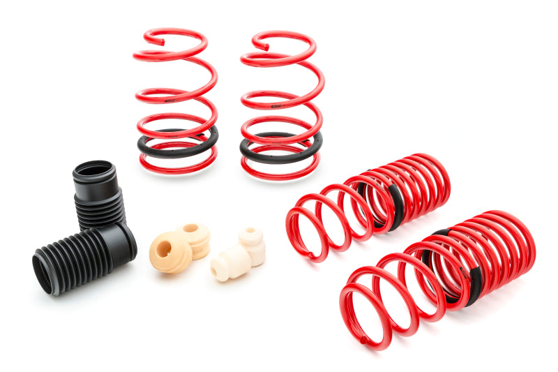 Kit Eibach Sportline pour Mustang S197 V8 05-07