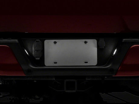 Lampes de plaque d'immatriculation à LED Raxiom 07-14 Ford F-150 Axial Series - Fumé