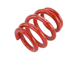 Skunk2 Universal Race Spring (Elliptical) - 6 in.L - 2.5 in.ID - 18kg/mm (0600.250.018E)
