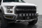 Kit de barre lumineuse CrossLink pour calandre Ford Raptor SS5 17-20 de Diode Dynamics Sport - Combo blanc