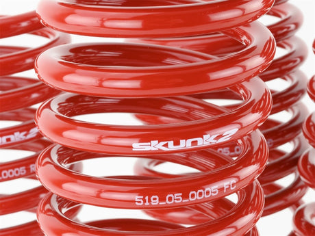 Ressorts d'abaissement Skunk2 92-95 Honda Civic/Del Sol (2,50 po - 2,25 po) (ensemble de 4)