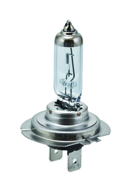 Ampoules halogènes Hella H7 12V 55W PX26D HP 2.0