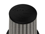 Filtres à air aFe MagnumFLOW OER PDS A/F PDS Ford Mustang 94-04 V6