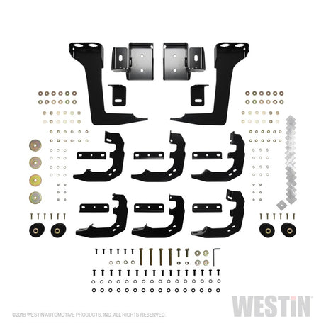Westin 2019 Ram 1500 Crew Cab PRO TRAXX 5 W2W Oval Nerf Step Bars - Stainless Steel