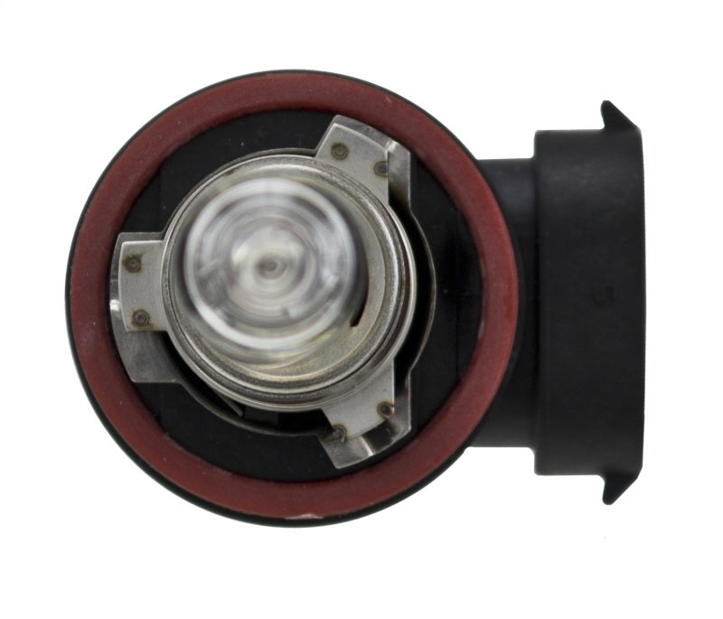 Hella H9 12V 65W PGJ19-5 HP 2.0 Halogen Bulbs