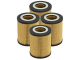 Filtre à huile aFe Pro GUARD D2 96-06 pour voitures à essence BMW L6 (lot de 4)