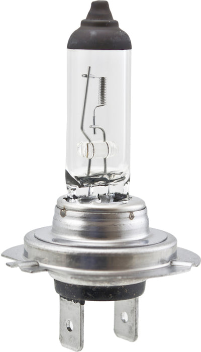 Ampoule haute puissance Hella H7 12V 100W PX26d T4.6