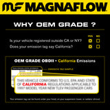 Fourgonnette Dodge Ram 1500 MagnaFlow Conv DF 02