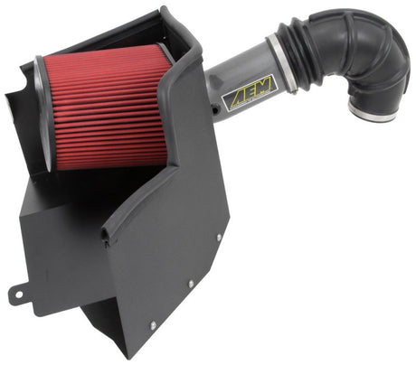 Système d'admission AEM Brute Force 2013 Dodge Ram 1500 5,7 L V8