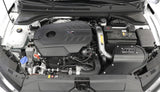 Système d'admission d'air froid AEM CAS 19-20 Hyundai Veloster N 2.0TF/I
