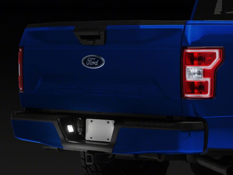 Lampes de plaque d'immatriculation à LED Raxiom 15-23 Ford F-150 Axial Series