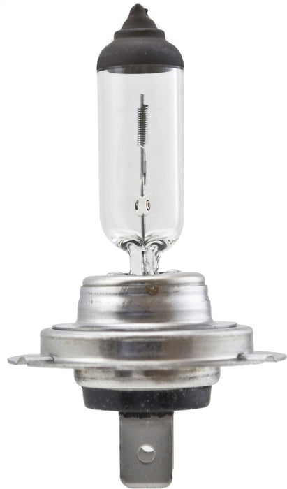 Ampoule haute puissance Hella H7 12V 100W PX26d T4.6