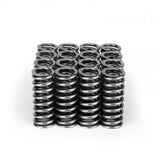 Ensemble de ressorts de soupape Skunk2 Alpha Series Honda D Series VTEC