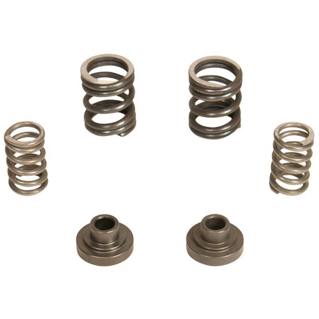Kit de ressorts de régulateur diesel BD 3000 tr/min - 1994-1998 Dodge 12 soupapes/pompe P7100