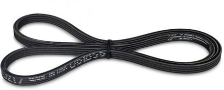 Courroie de remplacement du kit de course KraftWerks Supercharger B&amp;D Series