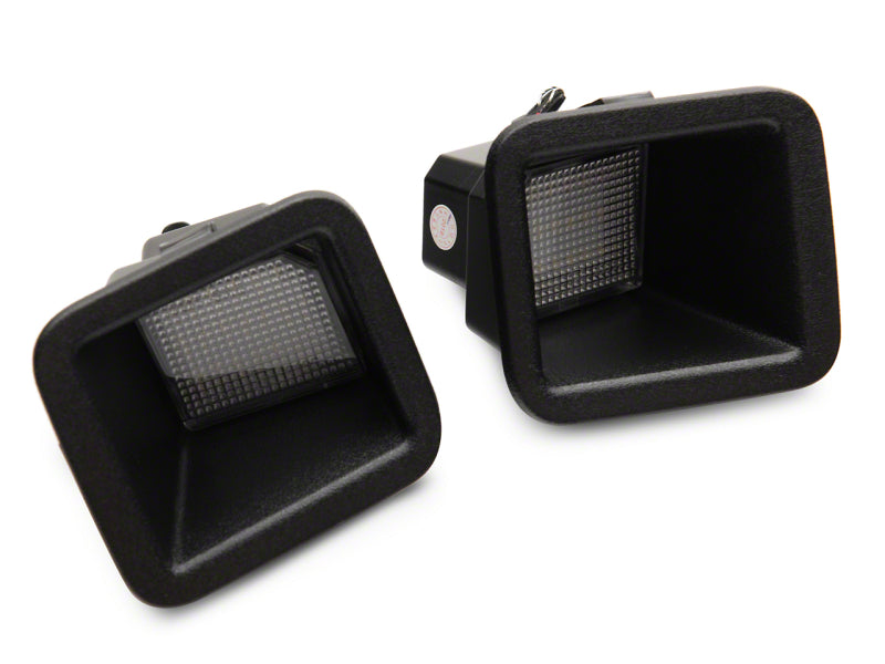 Lampes de plaque d'immatriculation à LED Raxiom 17-23 Ford F-250/F-350 Super Duty Axial Series