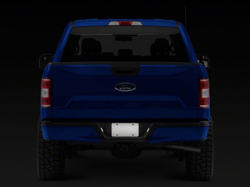 Lampes de plaque d'immatriculation à LED Raxiom 15-23 Ford F-150 Axial Series