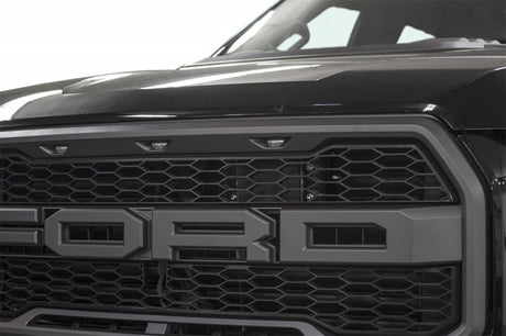 Support de régulateur de vitesse adaptatif Addictive Desert Designs 17-18 Ford F-150 Raptor