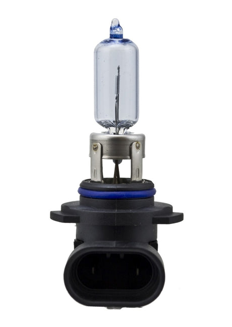 Ampoule Hella 9005 12V 65W haute performance P20d 2.0 (paire)